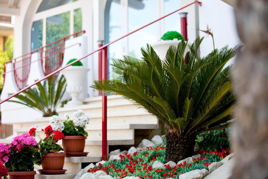 Hotel Ambassador Grottammare Exterior photo